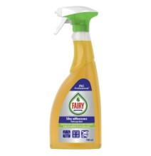 Fairy Professional riebalų valiklis Power degreaser, 750ml