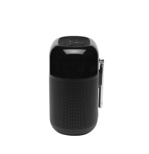 Belaidė kolonėlė/ radija JBL Tuner XL, Black