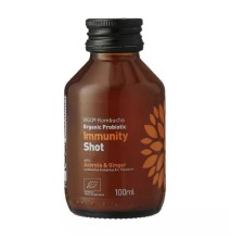 Gaivusis arbatos gėrimas VIGO Kombucha, Immunity shot, 0,1l, LT-EKO-001