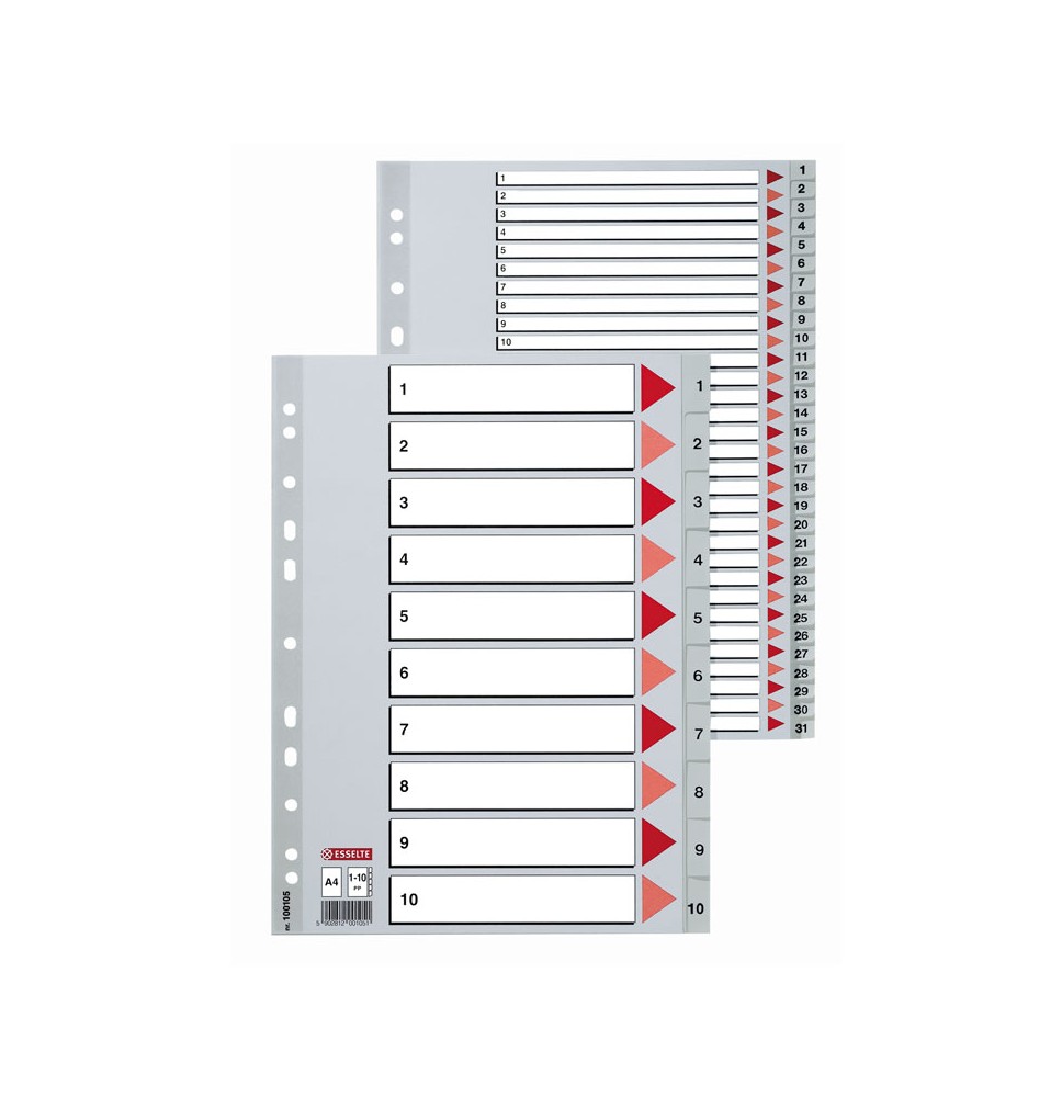 Skiriamieji lapai ESSELTE, 1-10, A4, PP