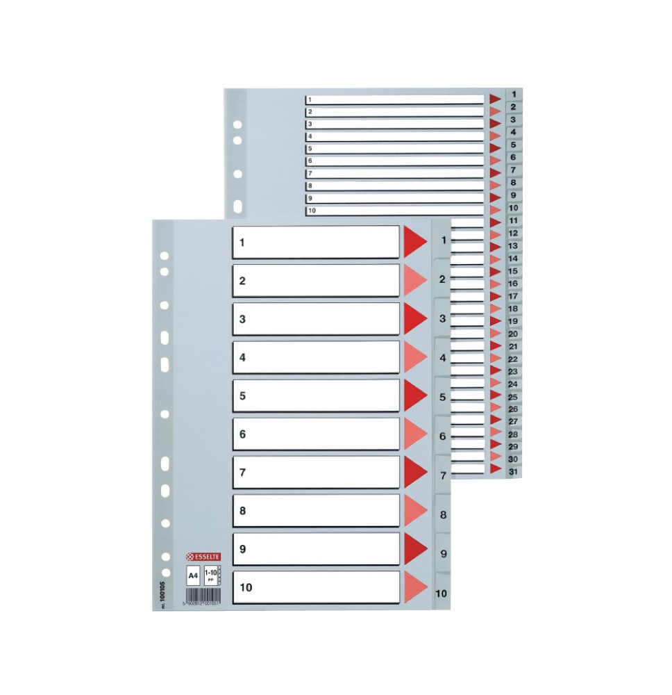 Skiriamieji lapai ESSELTE, 1-20, A4, PP