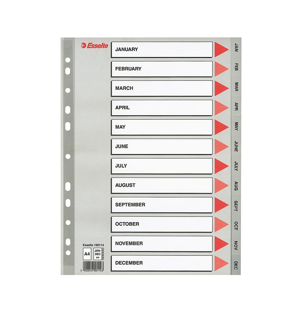 Skiriamieji lapai ESSELTE, Jan-Dec , A4, PP