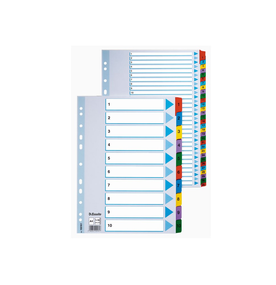 Kartoniniai spalvoti skiriamieji lapai ESSELTE, 1-20, A4