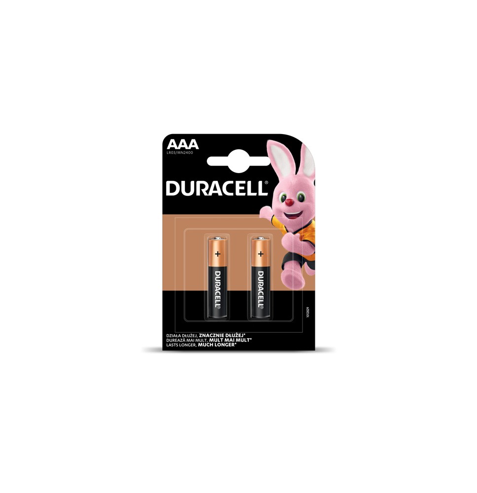 Baterijos DURACELL AAA, LR03, 2vnt