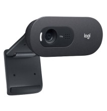 Internetinė kamera Logitech C505 HD USB  (960-001364),