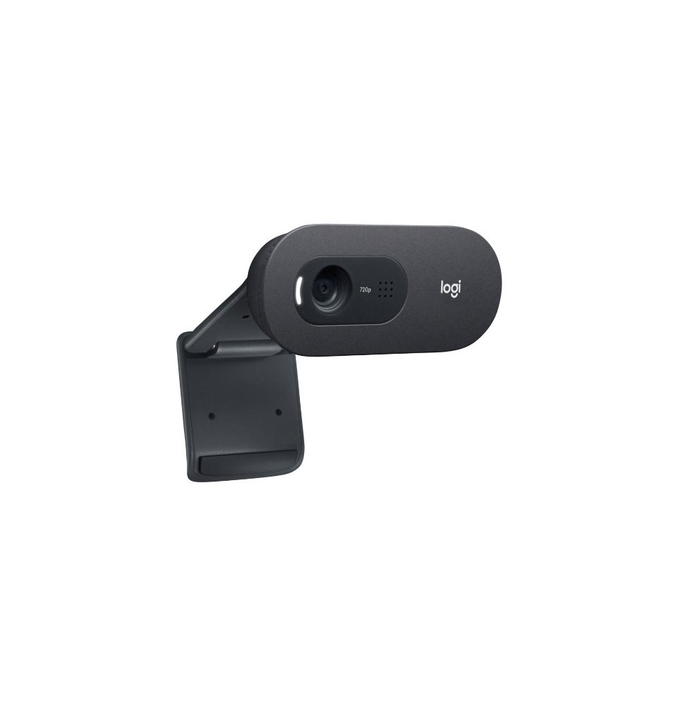 Internetinė kamera Logitech C505 HD USB  (960-001364),