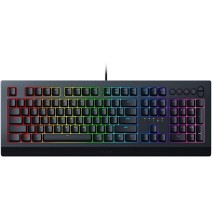 Žaidimų klaviatūra Razer RZ03-03400100-R3M1 Cynosa V2, USB QWERTY US EN, Wired, Juoda