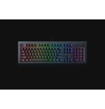 Žaidimų klaviatūra Razer RZ03-03400100-R3M1 Cynosa V2, USB QWERTY US EN, Wired, Juoda