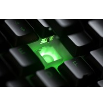 Žaidimų klaviatūra Razer RZ03-03380100-R3M1 Ornata V2 QWERTY US EN, Wired, Juoda