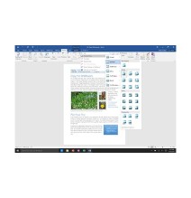 Programinė įranga Microsoft Office Home and Student 2016 (1 PC Licence)