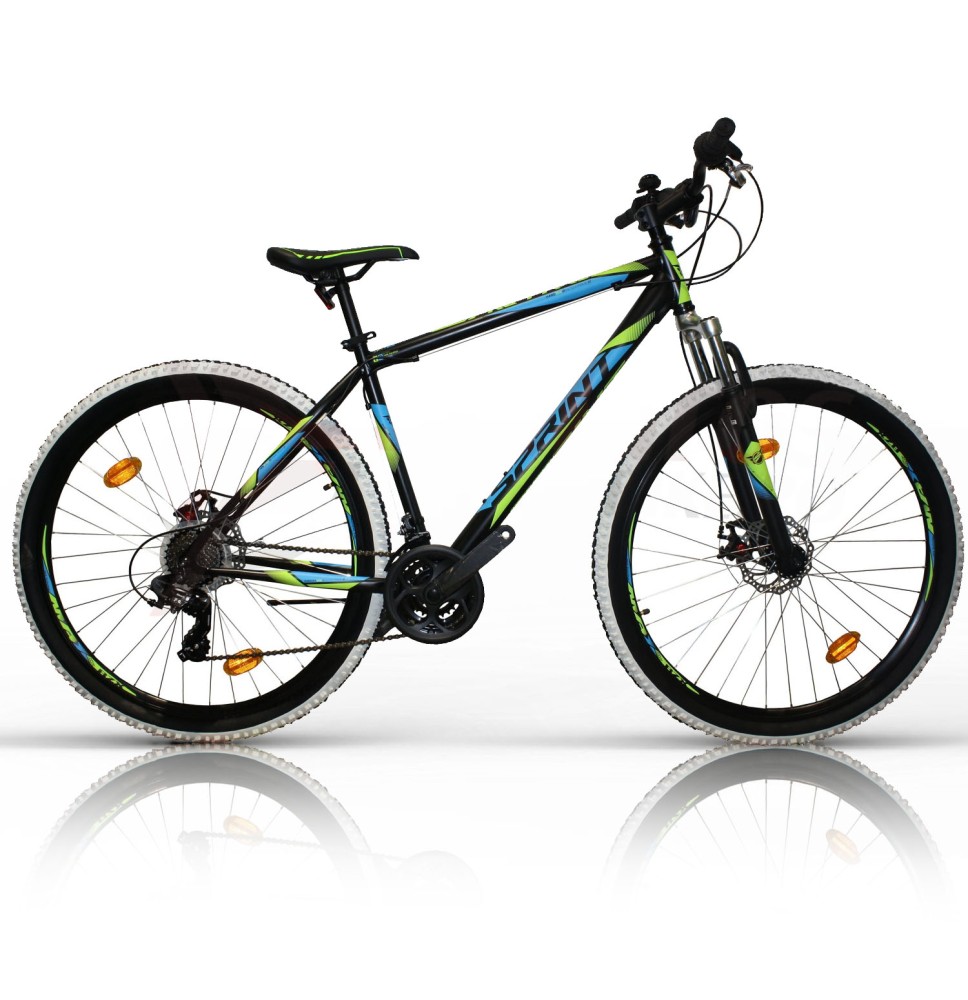 SPRINT Active 29" 21G dydis 19" (48cm) (juoda/mėlyna/žalia)