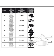 Aitvaras 51WL Kite Eagle