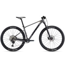 GIANT XTC SLR 29 1 29" // 12G dydis 17" (43cm) (pilka)