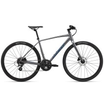 GIANT Escape 2 Disc 28" 24G dydis 19" (48cm) (pilkas)