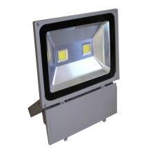 Šviestuvas LED lauko F1201 100W