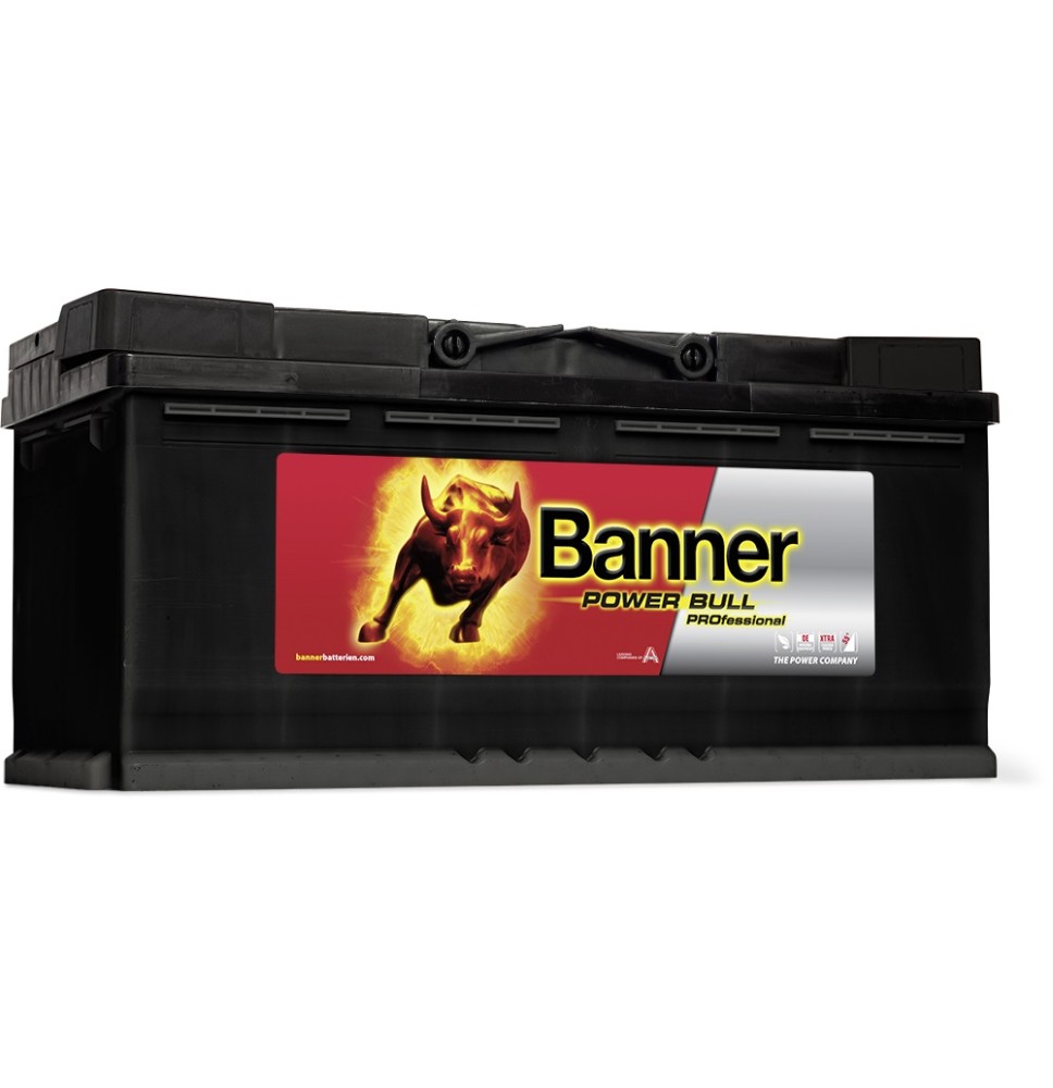 Banner 100Ah 820A 12V Power PRO akumuliatorius 354x175x190mm