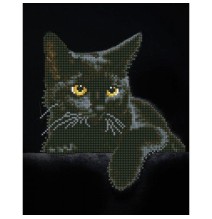 Deimantinė mozaika MIDNIGHT CAT 35,5x27,9