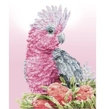 Deimantinė mozaika PINK GALAH BANKSIA 41x51