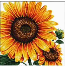 Siuvinėjimo kryželiu rinkinys SUNFLOWER 40x40