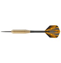 Darts strėlytės steeltip CLUB BRASS 3x22gK