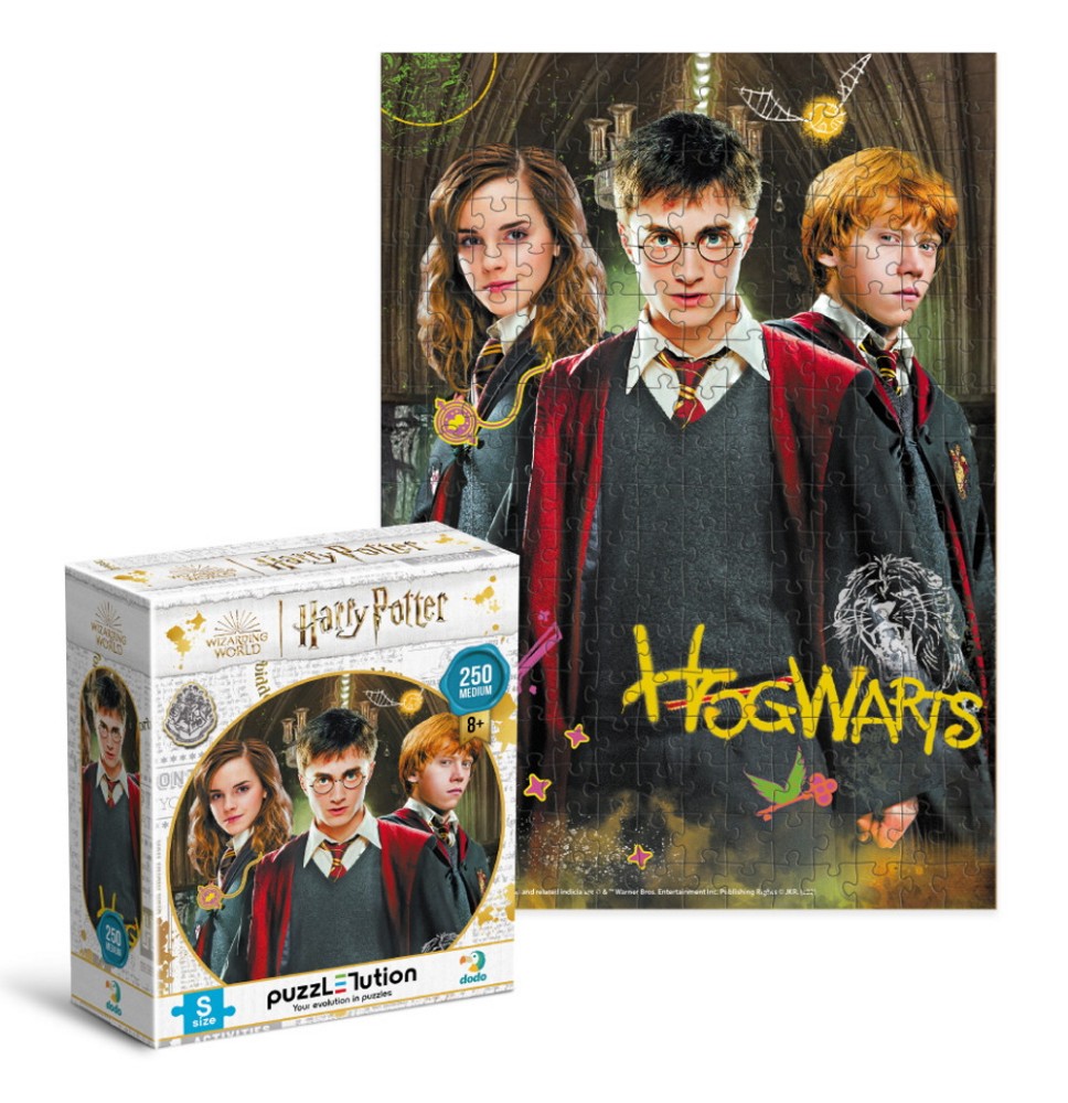 Dodo dėlionė Harry Potter Hogwarts (250 det.)