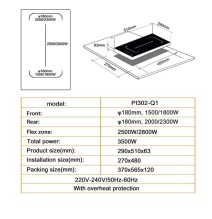 Kaitlentė Schlosser PI 302Q1