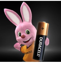 Baterijos DURACELL AA, LR6, 2vnt