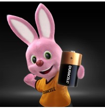 Baterijos DURACELL D, LR20, 2vnt