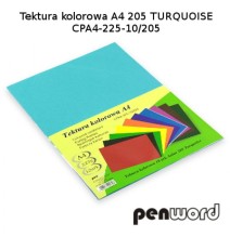 Kartonas A4/10l 225g PenWord šv.mėlynas