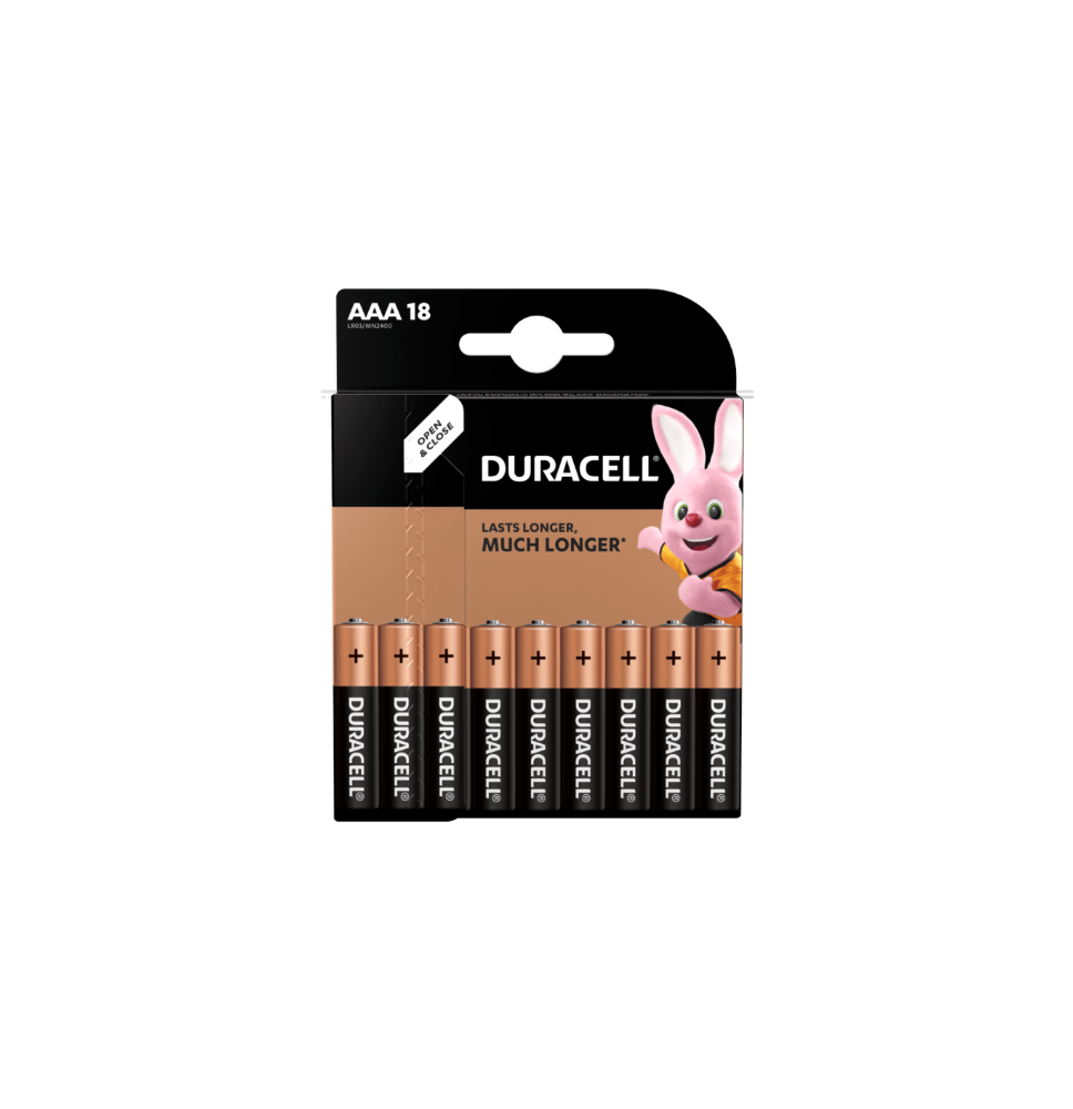 Baterijos DURACELL AAA, LR03 18 vnt