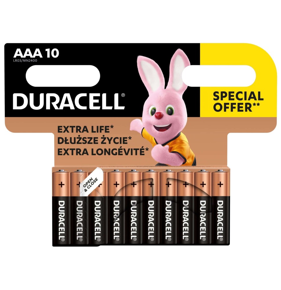 Baterijos DURACELL AAA, 10 vnt.