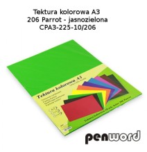 Kartonas A3/10l 225g žalias PenWord