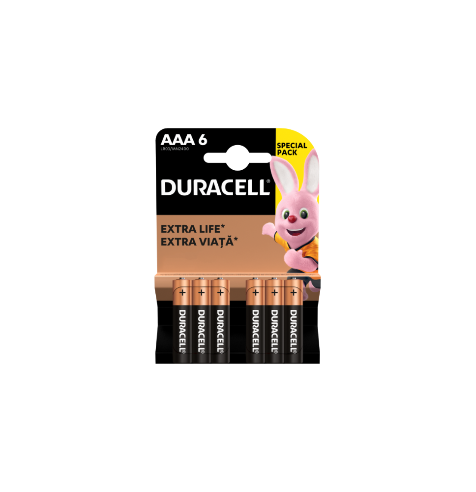 Baterijos DURACELL AAA, LR03, 6vnt