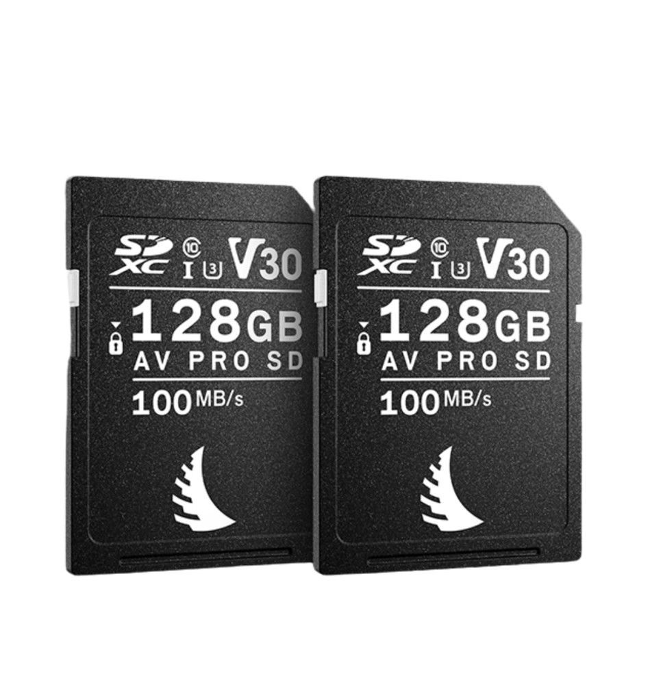 Angelbird Match Pack™ for Canon 2x SD V30 128 GB