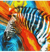 Tapyba pagal skaičius: SPALVOTAS ZEBRAS 50x50